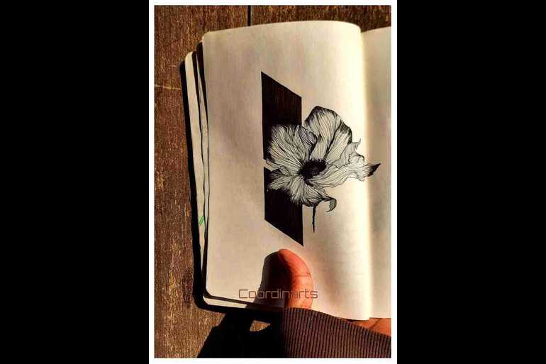 Poppy